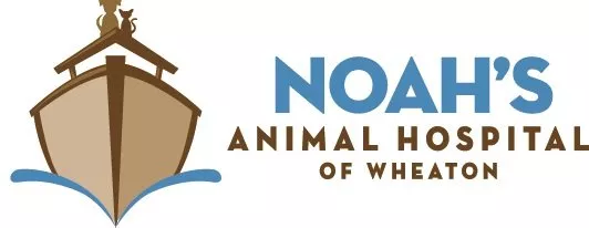 Noah's Animal Hospital at Wheaton, Illinois, Wheaton